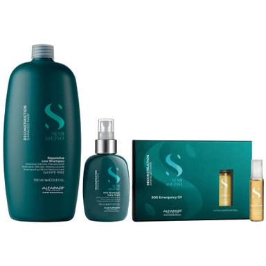 SHAMPOO SIN SAL ALFAPARF MILANO EMPHASEASDLR028 1000ML + SPRAY + AMPOLLAS SOS RECONSTRUCTION