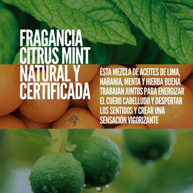 TRATAMIENTO CAPILAR AMERICAN CREW 8432225131238 100ML ANTI HAIRLOSS SCALP TREATMENT ANTICAÍDA - 2