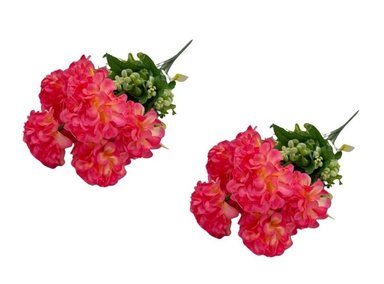 PACK 2 PLANTAS FLORIPA BG301003-ROS3 BOUQUETS CRISANTEMO 10 FLORES