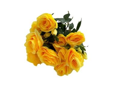 PLANTAS FLORIPA BG305172-AM BOUQUET ROSAS STORE