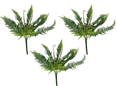 PACK 3 PLANTAS FLORIPA 2328 BOUQUETS HELECHO