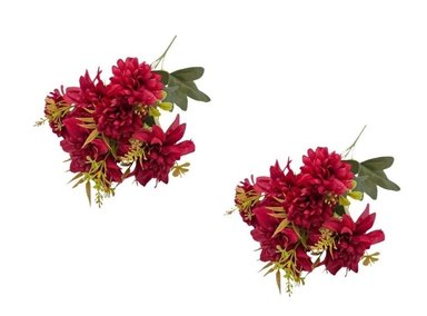 PACK 2 PLANTAS FLORIPA BG236052-RJ BOUQUETS DALIAS