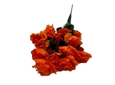 BOUQUET DE ROSAS (24 FLORES) FLORIPASTORE