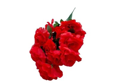 PLANTAS FLORIPA BG302402-RJ BOUQUET ROSAS 24 FLORES STORE