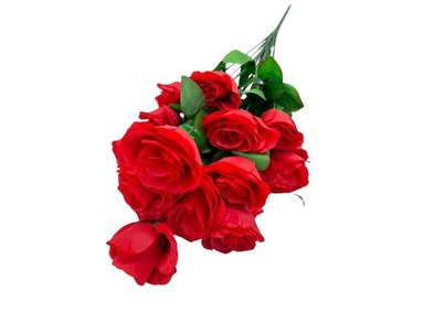PLANTAS FLORIPA BG302403-RJ BOUQUET ROSAS 24 FLORES STORE