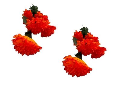 PACK 2 PLANTAS FLORIPA BG305159-NAR BOUQUETS CRISANTEMO