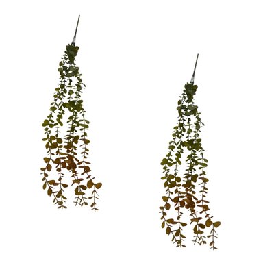 PACK DE 2 COLGANTE DE EUCALIPTO OTOÑAL  BG 231289 FLORIPASTORE