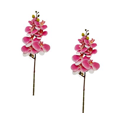 PACK DE 2 VARA DE ORQUIDEA MEDIANA BG 301464-9 FLORIPASTORE