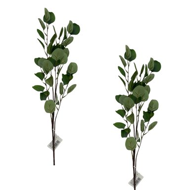 PACK DE 2 VARA DE EUCALIPTO BG 410163V FLORIPASTORE