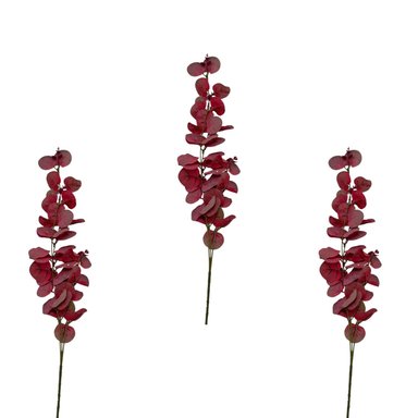 PACK DE 3 VARA DE EUCALIPTO  BG 397016 FLORIPASTORE