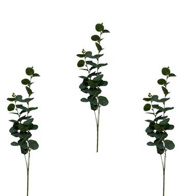 PACK DE 3 VARA DE EUCALIPTO ENVEJECIDO BG 397015 FLORIPASTORE