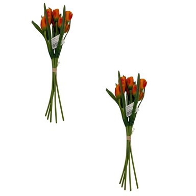 PACK DE 2 BOUQUET  DE TULIPAN BG 405264-NAR FLORIPASTORE