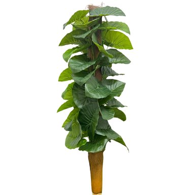 PLANTA ARTIFICIAL DE HOJAS COSTILLA DE ADAM BG 490007 FLORIPASTORE