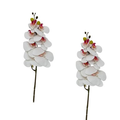PACK DE 2 VARA DE ORQUIDEA MEDIANA BG 301464-6 FLORIPASTORE