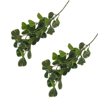 SET DE 2 VARAS DE HOJAS TIPO TREBOL DE 80CM 8503-2  FLORIPASTORE