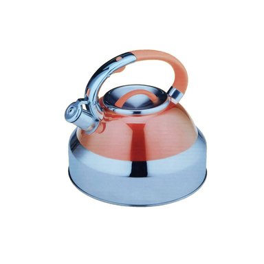 TETERA ACERO INOX 5 L LUISSANT LU-324T-SN