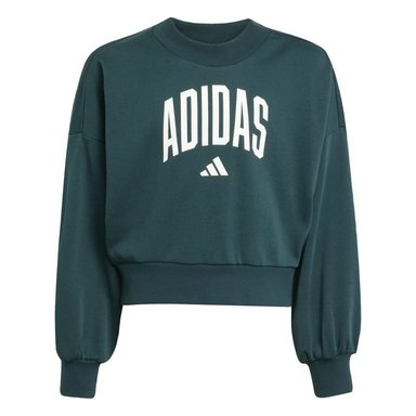 ADIDAS POLERA JG CLGT FT SWT UNISEX