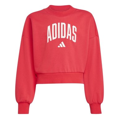 ADIDAS POLERA JG CLGT FT SWT UNISEX