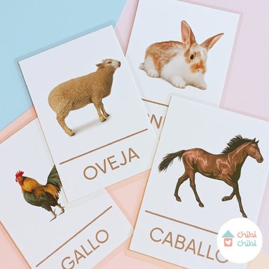 FLASHCARDS - 12 TARJETAS