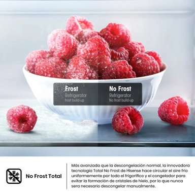 REFRIGERADORA HISENSE TOP FREEZER NO FROST RT3N320NMC - 6