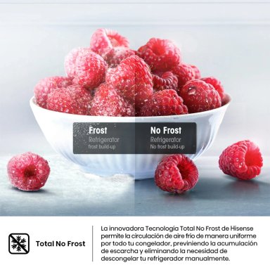 REFRIGERADORA HISENSE FRENCH DOOR NO FROST RQ3P431NMBA 392L - 9