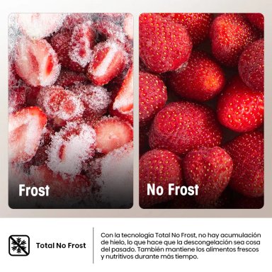 REFRIGERADORA HISENSE BOTTOM FREEZER NO FROST RB286N1MBA 287L - 9