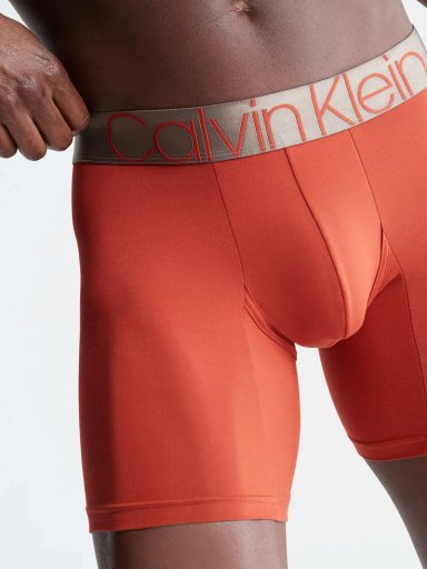 BÓXER ALGODÓN HOMBRE CALVIN KLEIN ICON MICROFIBER BRIEF NB2541212 - 3
