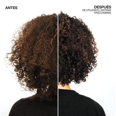 MASCARILLA FRIZZ DISMMISS 250ML PARA CONTROL DE FRIZZ - 3