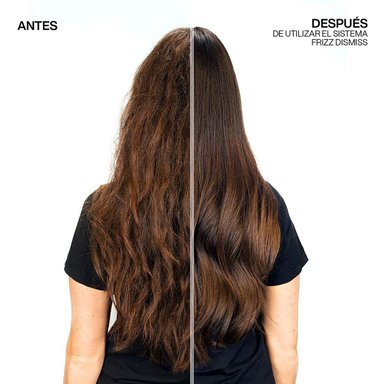 MASCARILLA FRIZZ DISMMISS 250ML PARA CONTROL DE FRIZZ - 4