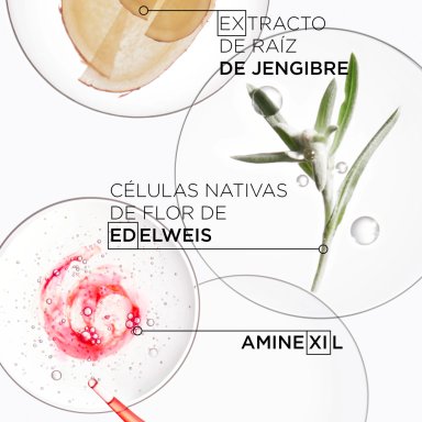 ACONDICIONADOR PARA CABELLO DEBILITADO CON TENDENCIA A LA CAÍDA FONDANT REINFORCATEUR GENESIS 200ML - 4