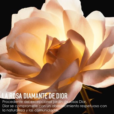 DIOR PRESTIGE MICRO-LOTION DE ROSE ADVANCED 100ML - 6