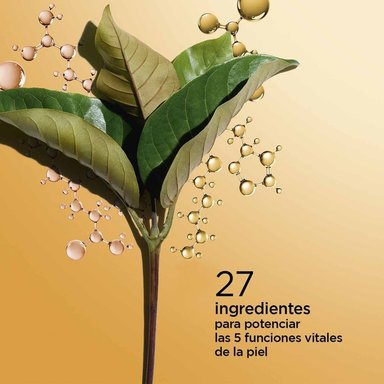 TRATAMIENTO ROSTRO CLARINS DOUBLE SERUM 75ML - 3