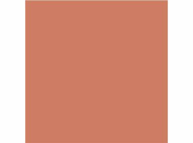 DIOR LABIAL ROUGE DIOR SATIN 200 - 7