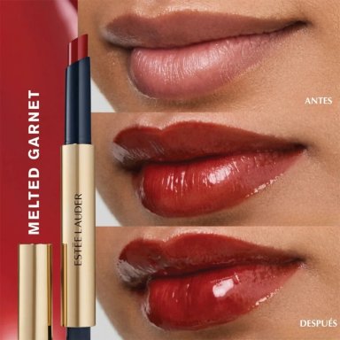 LABIAL ESTEE LAUDER PURE COLOR MELT ON STICK MELTED GARNET - 3