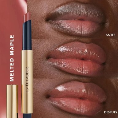 LABIAL ESTEE LAUDER PURE COLOR MELT ON STICK MELTED MAPLE - 3