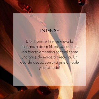 DIOR HOMME INTENSE EAU DE PARFUM 100ML - 4
