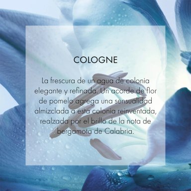 DIOR HOMME COLOGNE 75ML - 4