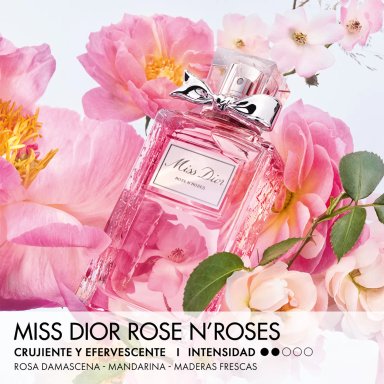 DIOR MISS DIOR ROSE N ROSES EAU DE TOILETTE 100ML - 3