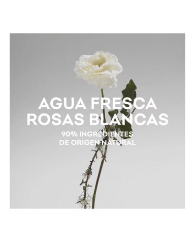 PERFUME ADOLFO DOMINGUEZ AGUA FRESCA DE ROSAS BLANCAS MUJER EDT 120 ML - 4