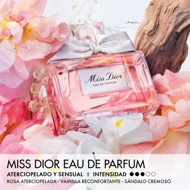 DIOR MISS DIOR EAU DE PARFUM 100ML - 3