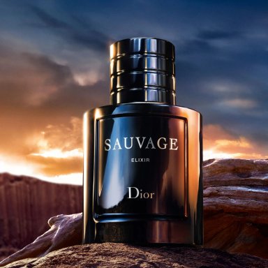DIOR SAUVAGE ELIXIR PARFUM 100ML - 7
