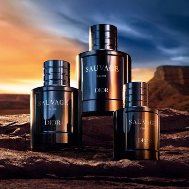 DIOR SAUVAGE ELIXIR PARFUM 100ML - 8