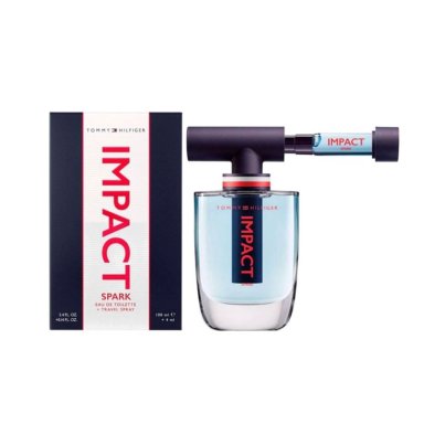 PERFUME TOMMY HILFIGER 5121910GBB HOMBRE EDT 100 ML - 2