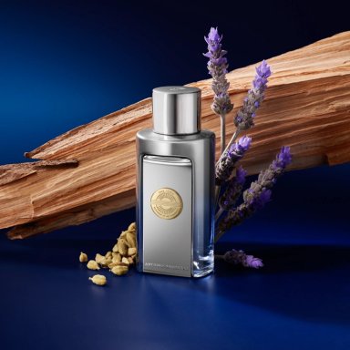 PERFUME BANDERAS THE ICON ELIXIR HOMBRE EDP 100ML - 5