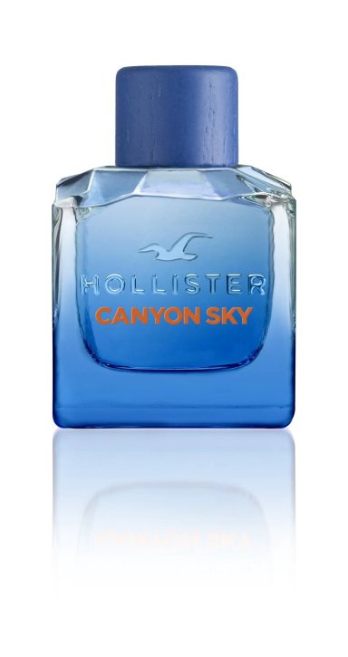PERFUME HOLLISTER CANYON SKY HOMBRE EDT 100 ML