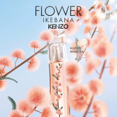 KENZO FLOWER IKEBANA MIMOSA EDP MUJER 75 ML - 8