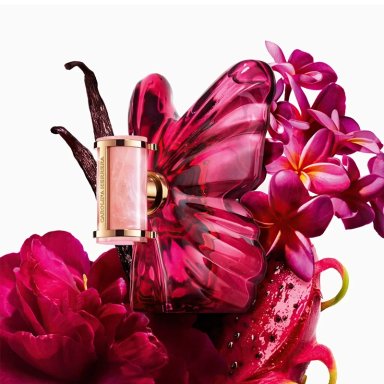PERFUME CAROLINA HERRERA LA BOMBA EDP 50ML - 5