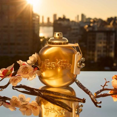 PERFUME MUJER COACH GOLD PARFUM 30ML - 3