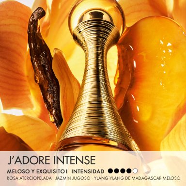 PERFUME DIOR J'ADORE INTENSE PARFUM 100ML - 3