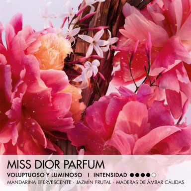 DIOR MISS DIOR PARFUM ROLLER PEARL 20 ML - 3